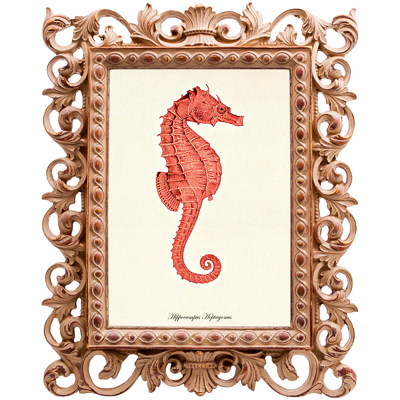 Постер Red Seahorse Poster Бежевый Красный в Костроме | Loft Concept 