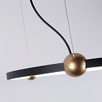 Люстра подвесная светодиодная черный металл Ring Horizontal варинант исполнения - 4 | Loft Concept в Костроме