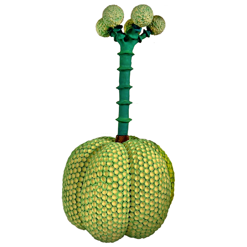 Статуэтка Зеленый тропический фрукт Pandora Tropical Light Green 69 Салатовый Мульти в Костроме | Loft Concept 