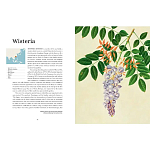 Прекрасно иллюстрированная книга более 100 ботанических произведений Plant Hunters Atlas варинант исполнения - 4 | Loft Concept в Костроме