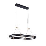 Люстра светодиодная в форме овала из акрила и алюминия с пультом для регулировки света Ring Horizontal Anthracite варинант исполнения - 2 | Loft Concept в Костроме