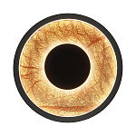 Бра круглое Gold Sun Lighting  варинант исполнения - 1 | Loft Concept в Костроме