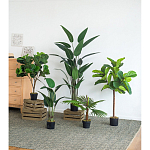 Декоративный искусственное растение Decor Stile  варинант исполнения - 8 | Loft Concept в Костроме