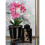 Кашпо Black design варинант исполнения - 5 | Loft Concept в Костроме