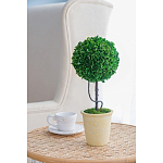 Декоративный искусственное растение Single boxwood варинант исполнения - 5 | Loft Concept в Костроме