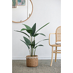 Декоративный искусственное растение Decor Stile  варинант исполнения - 5 | Loft Concept в Костроме