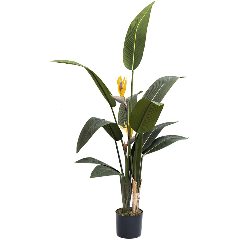 Искусственная Strelitzia Reginae Зеленый Искусственная Strelitzia Reginae Зеленый в Костроме | Loft Concept