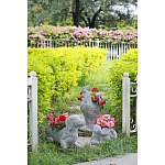 Кашпо The self-confident swan варинант исполнения - 8 | Loft Concept в Костроме